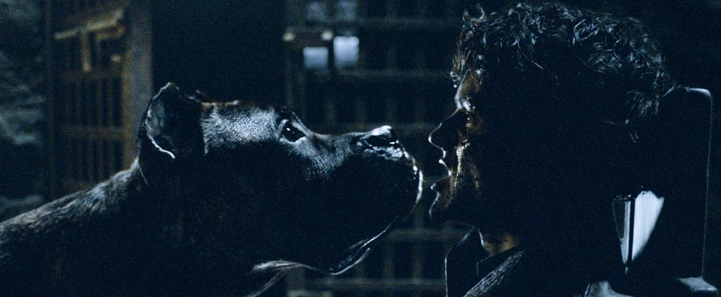 Iwan Rheon Interview About Ramsay's Death on Game of Thrones