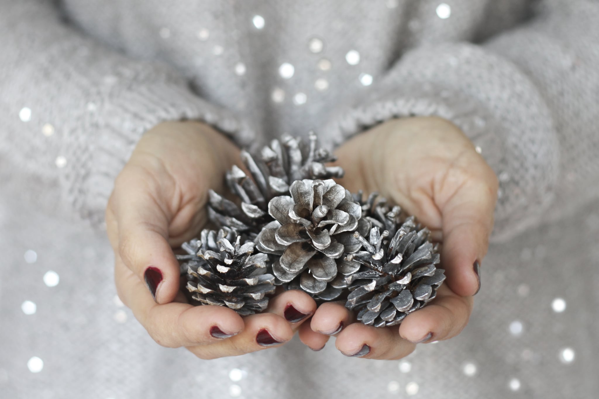 Woman holding pine cones