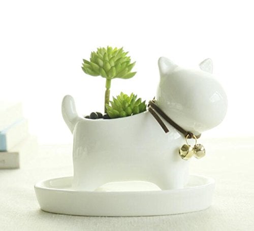 White Ceramic Succulent Plant Flower Pot