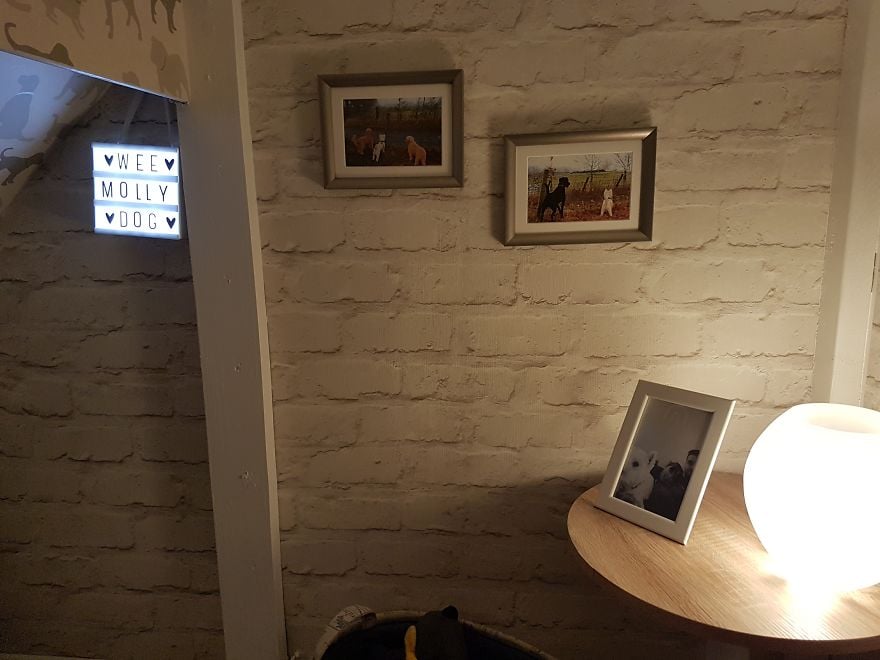 Dad Turns Stairwell Nook Into Room For Dog