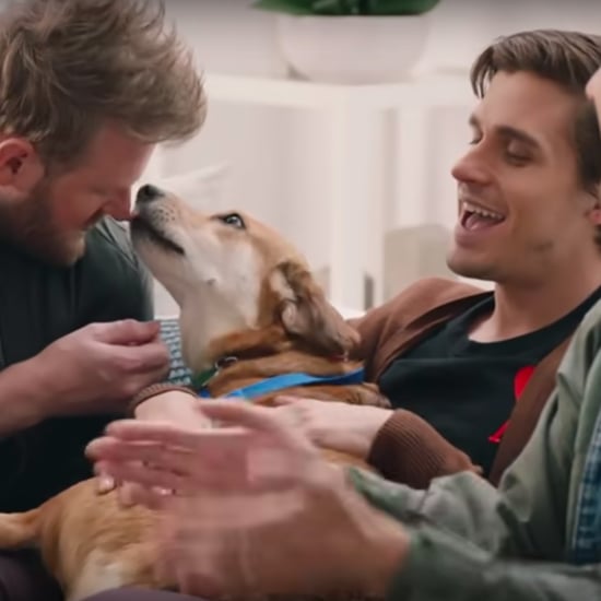Queer Eye Fab Five Dog Makeover Episode