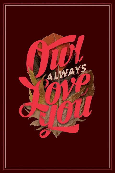 Owl always love you