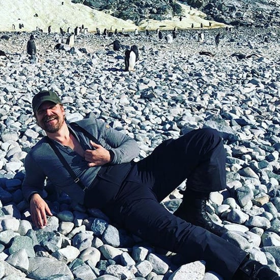 David Harbour Doing Hopper Dance With Penguins Video 2018