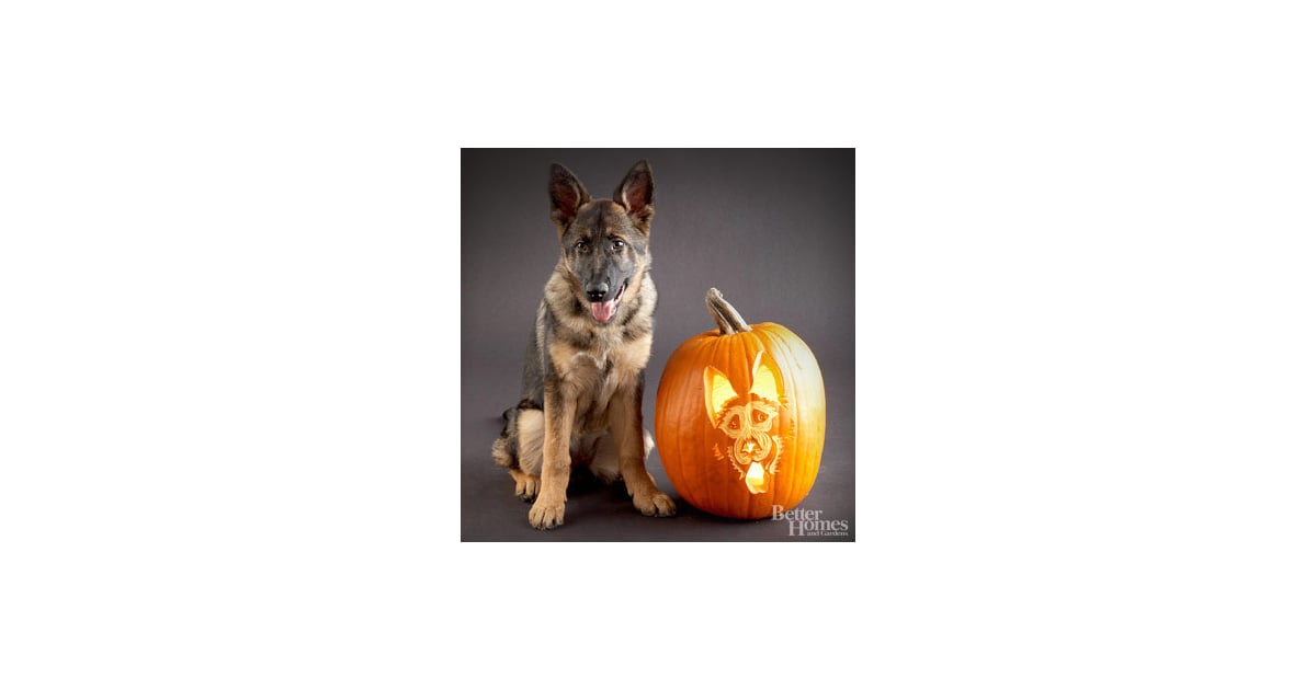 German Shepherd Downloadable Dog Breed Pumpkin Stencils POPSUGAR