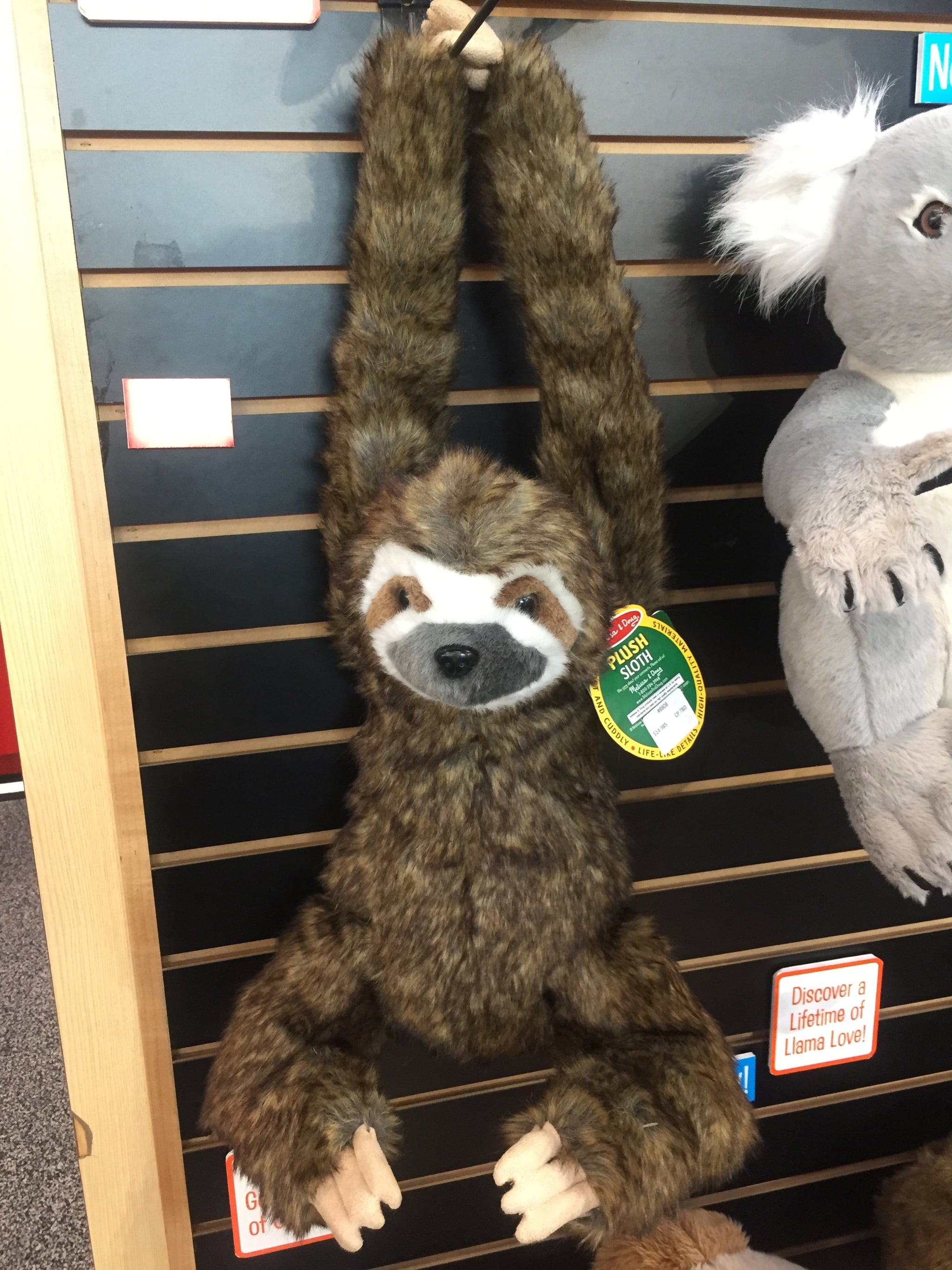 melissa and doug sloth