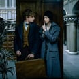 J.K. Rowling Just Gave Us Everything to Know Before Fantastic Beasts