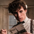 ICYMI, This Is When Newt Scamander First Appeared in a Harry Potter Movie