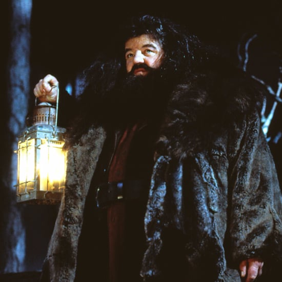 Newt Scamander and Hagrid Theory