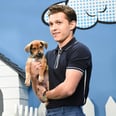 I Didn't Know How Much I Needed This Video of Tom Holland Cuddling With Rescue Puppies