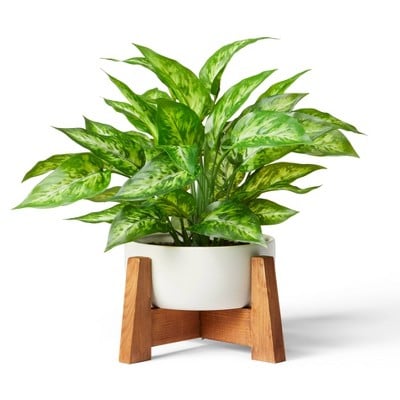 Hilton Carter for Target Faux Philodendron Birkin Plant with Wood Stand Planter