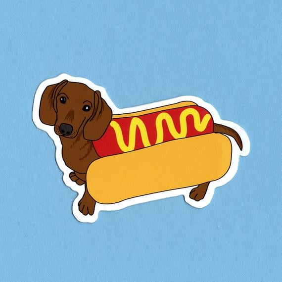 dachshund pop vinyl