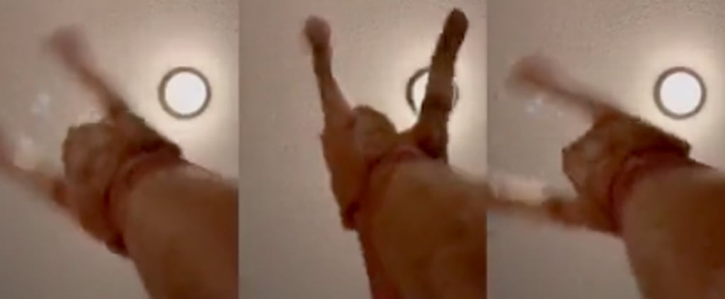 Viral Mr. Sandman Cat Video on Tik Tok