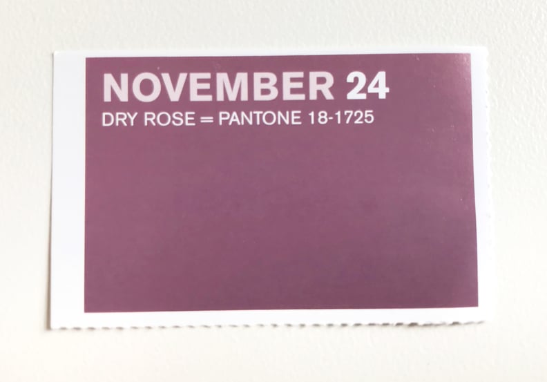 Nov. 24 - Dry Rose