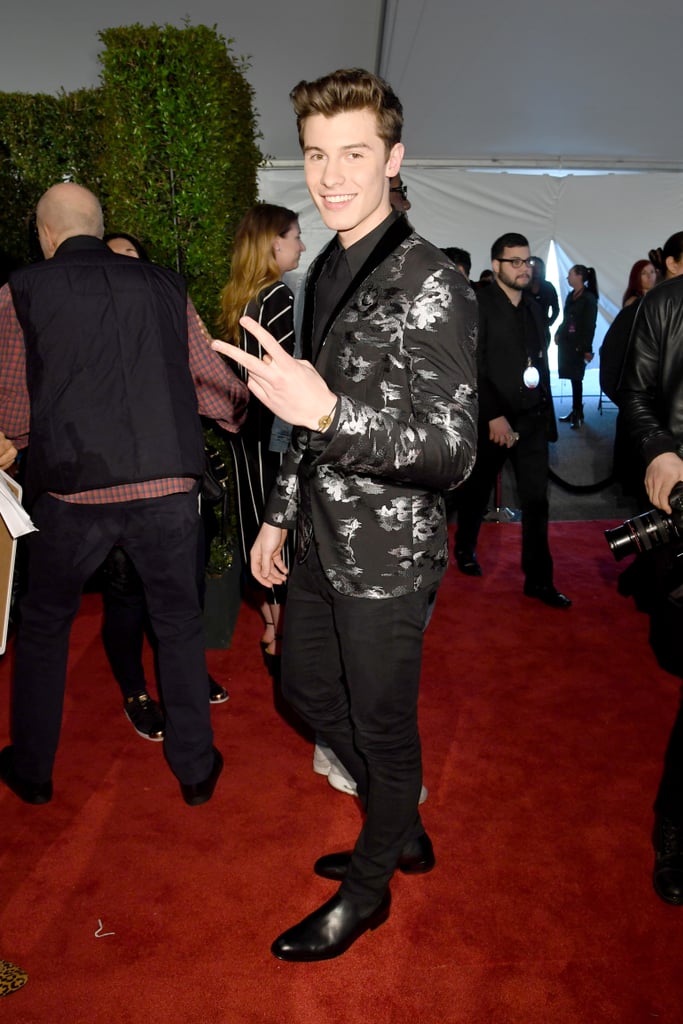 Pictured: Shawn Mendes