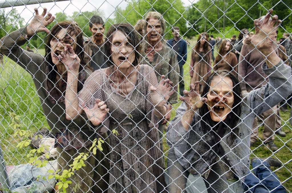 Pop Quiz: How Many Maxis Can You Spot in This Photo Alone?
