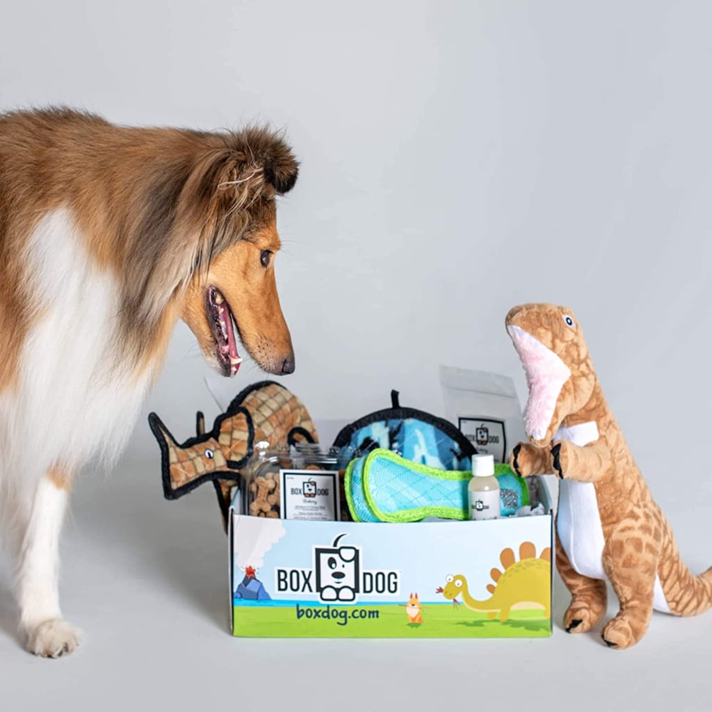 A Subscription Box For Dog Parents: BoxDog