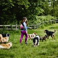 8 Simple Rules to Follow at the Dog Park, According to a Dog Trainer