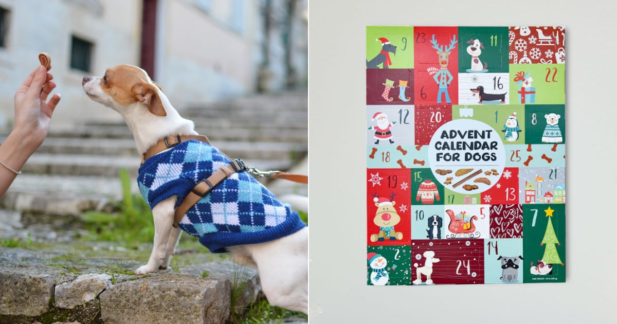 Sam s Club Advent Calendars For Dogs 2020 PS Pets