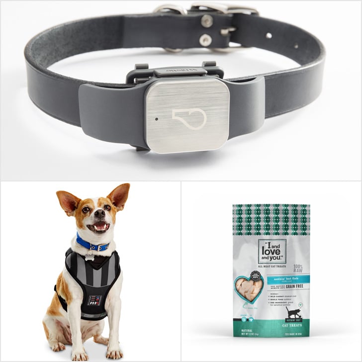 Pets Must Haves December 2015