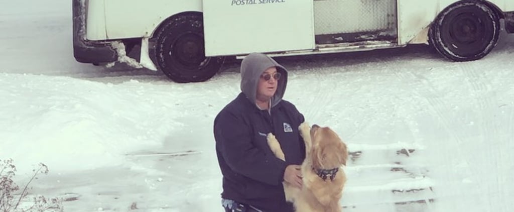 Videos of Golden Retriever and His Best Friend, the Mailman