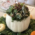 This Is Your Sign to DIY a Succulent Pumpkin For Fall