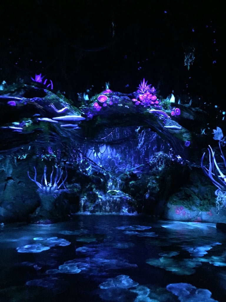 Which Pandora World of Avatar Ride Is For Kids?