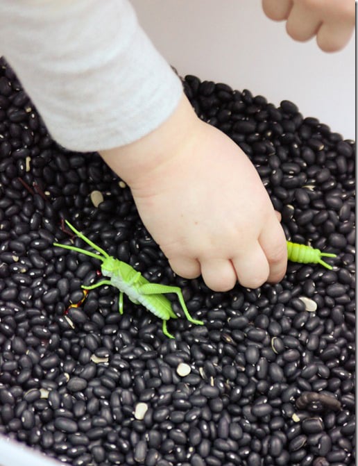 Bug Hunt Sensory Bin