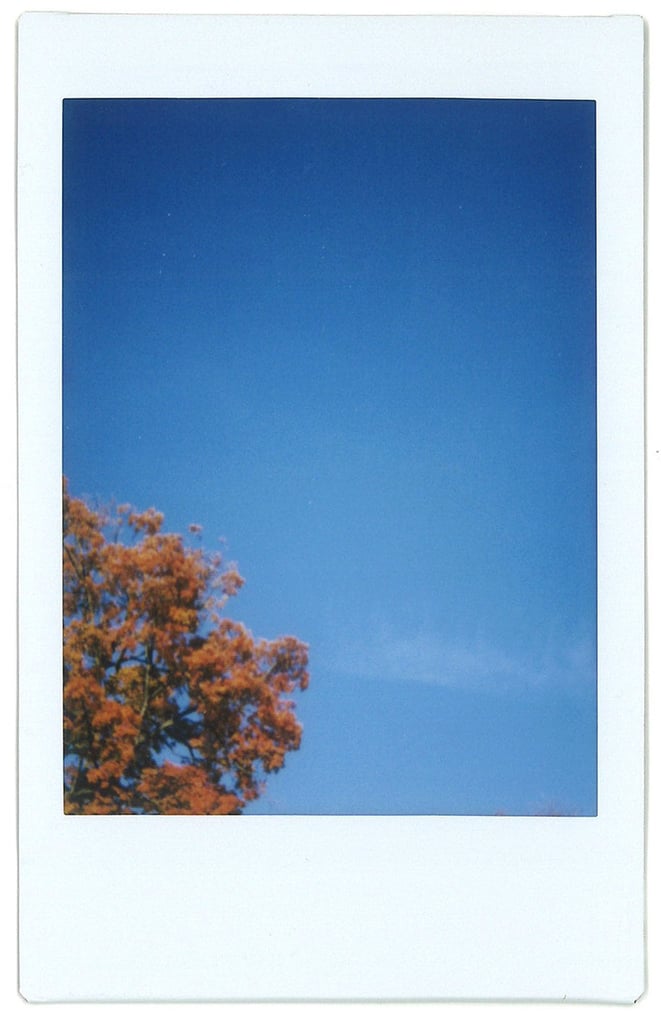 Apply the Rule of Thirds