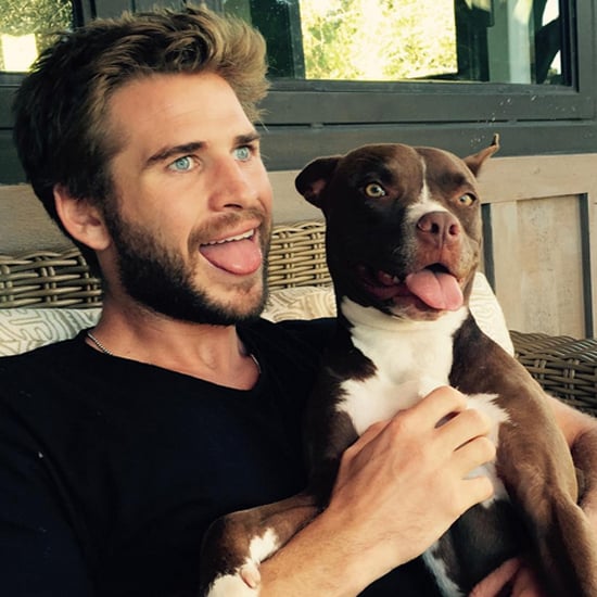 Liam Hemsworth Takes a Picture With His Dog September 2015