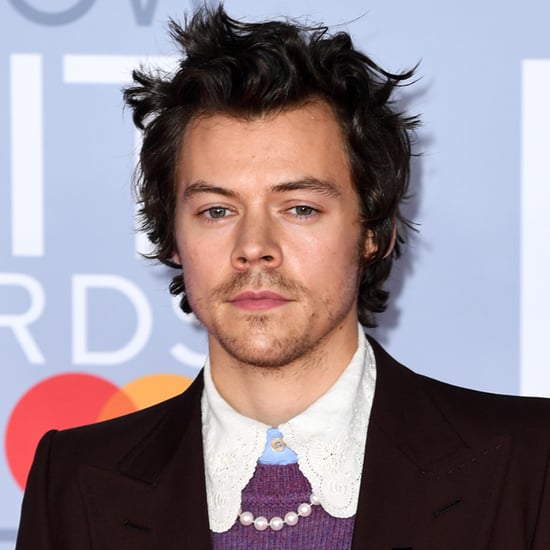 What Is Harry Styles's Sexuality?