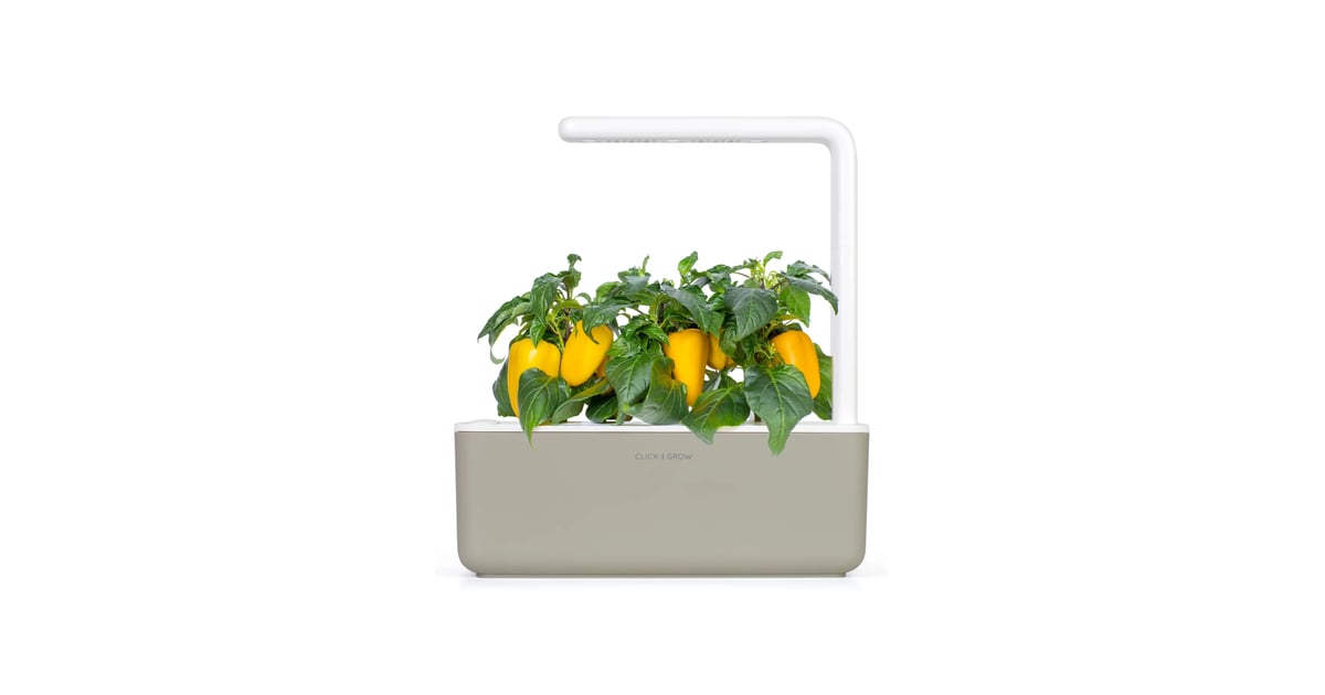 Best Host Gift For The Green Thumb Best Hostess Gifts 2023