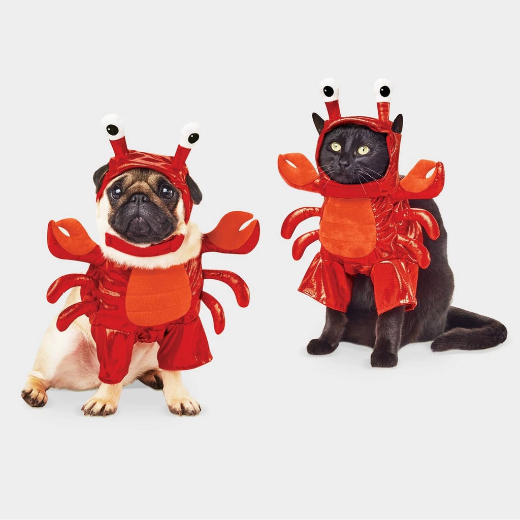 Lobster Dog and Cat Costume Best Target Pet Halloween Costumes 2019