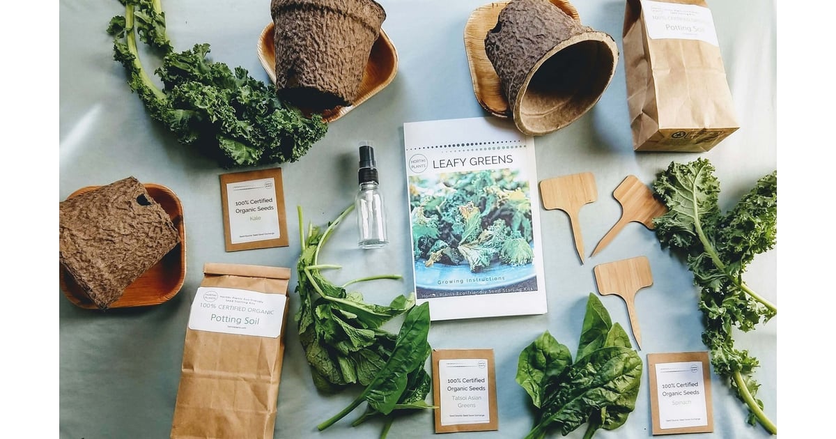 EcoFriendly Gardening Kit Best Gifts For Uncles POPSUGAR Smart