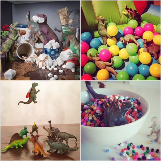 Real Dinovember Photos