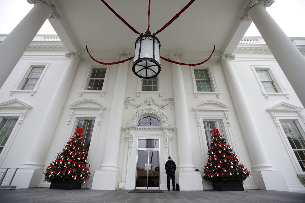 Trees flag the White House entrance.
