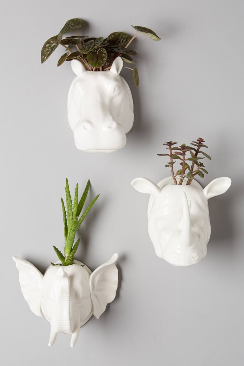 Anthropologie Sahel Wall Planter