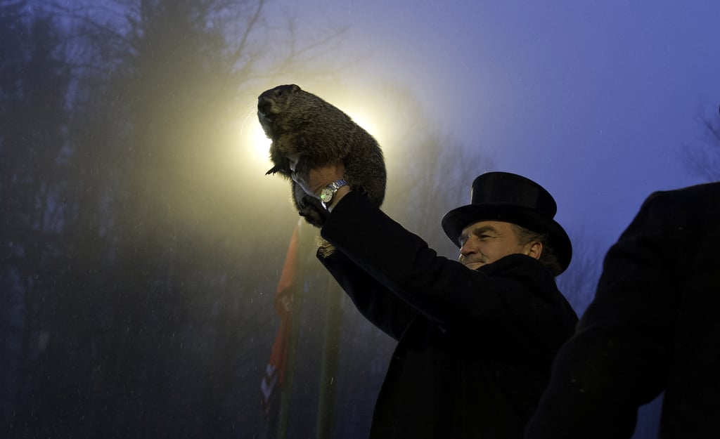 Surprise! Punxsutawney Phil Saw His Shadow