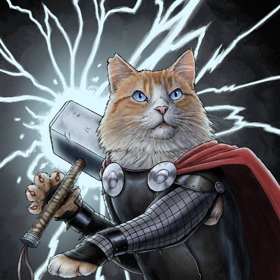 Cats Dressed as Superheroes