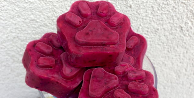 Frozen Mixed Berry Dog Treats Recipe