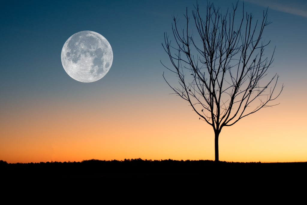 When to Watch Every Full Moon in 2021