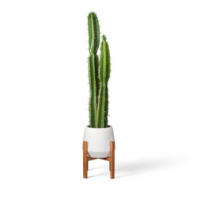 Hilton Carter for Target Faux Cactus Plant with Wood Stand Planter