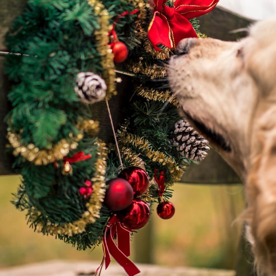 Pet-Friendly Holiday Decoration Tips