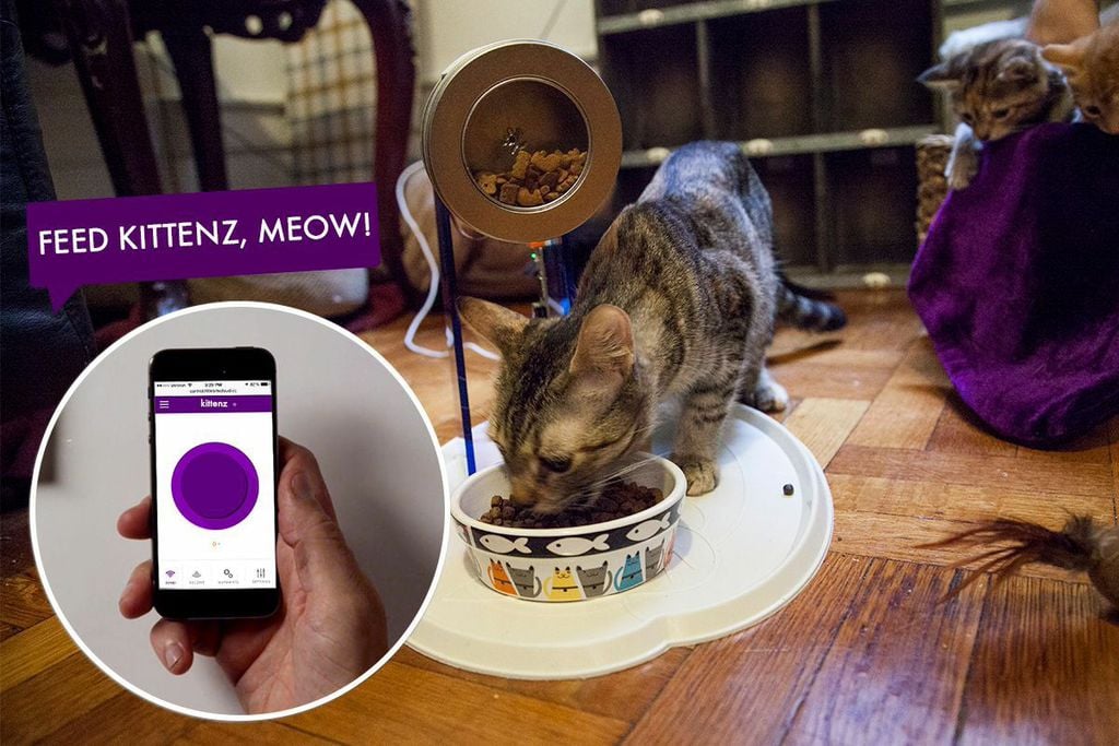 "The Smart Home Kit ($249) is the best way to upgrade any household device to the 21st century. I use projects from the kit at home and all over littleBits HQ to re-create the newest smart home devices and to create unique inventions, like cloud-connected Christmas lights to show off to friends or functional inventions like laundry done alerts!"