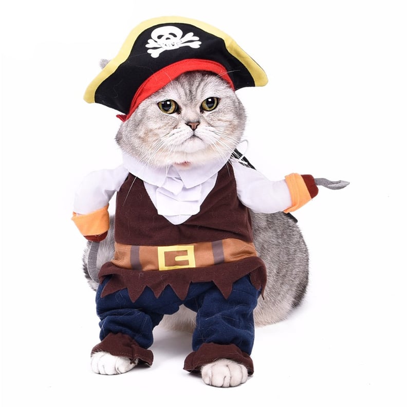 Pirate Cat Costume