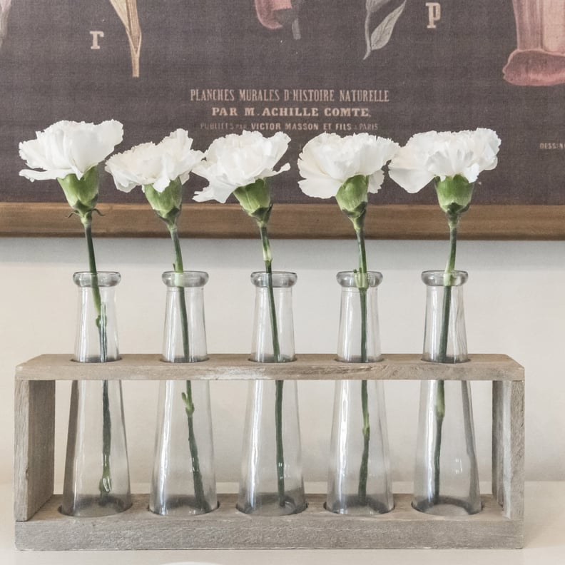 5 Piece Glass Table Vase Set