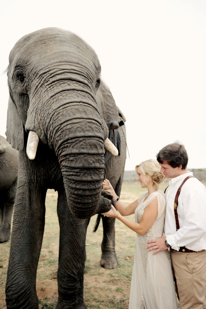 South African Safari Wedding With Elephants Popsugar Love And Sex Photo 36 9330