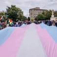 The Anti-Trans Bills Being Passed Throughout the US Show That the "Damage Has Been Done"