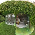 This Organic House in Mexico Puts Nature Top of Mind, and the Finished Product Is Interstellar