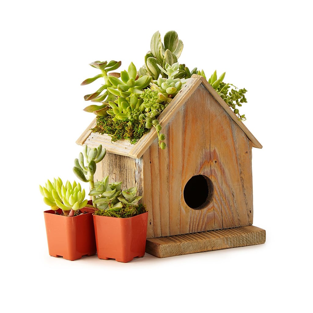 Birdhouse Succulent Planter