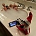 Naughty Elf on the Shelf Pictures